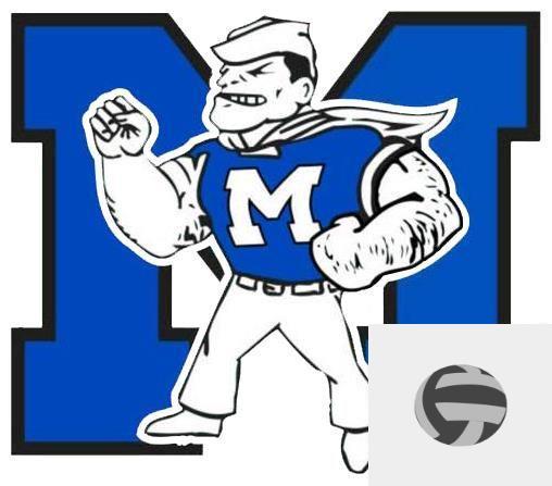 Team Logo