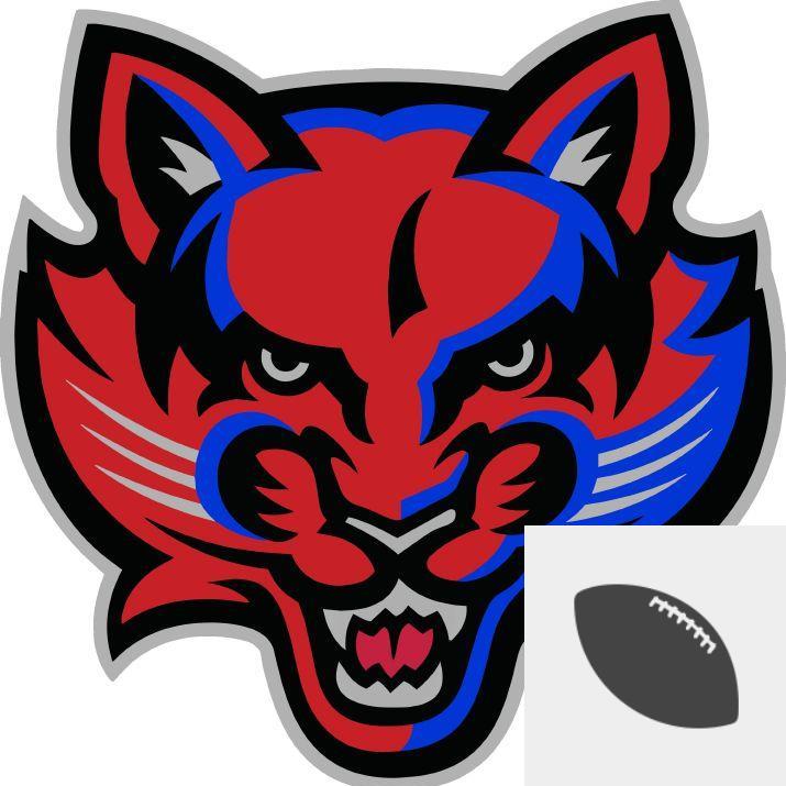 Team Logo