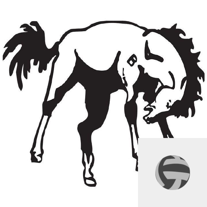 billings-west-high-school-sports-406mtsports