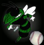 Player Pic