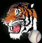 Player Pic