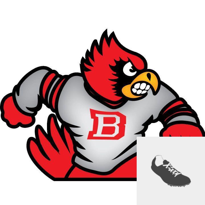 Team Logo