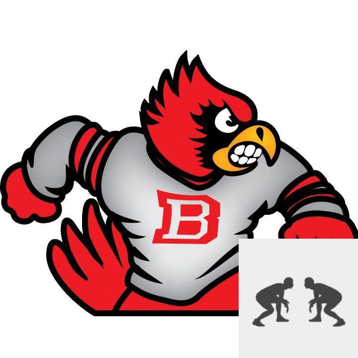 Team Logo