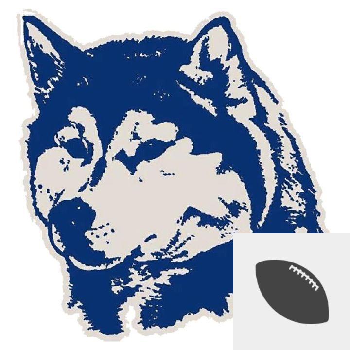 Player Pic