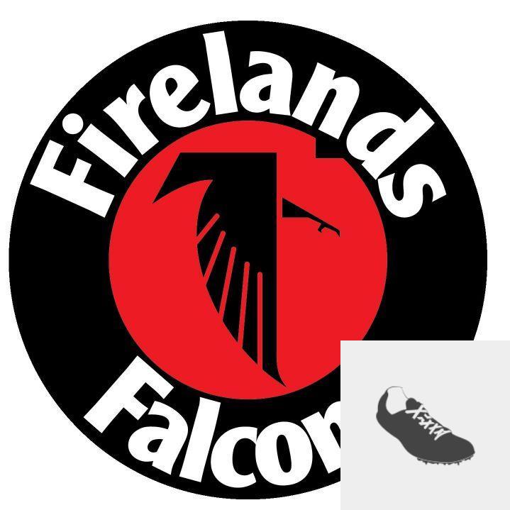 Team Logo
