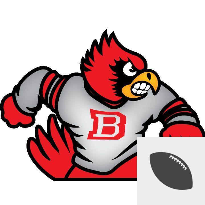 Team Logo