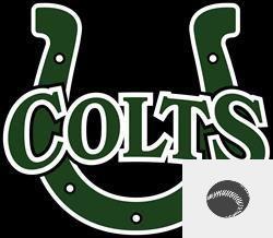 Team Logo
