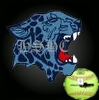 Player Pic