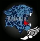 Player Pic